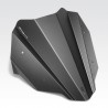 R-0983 : Parabrisas DPM Transalp XL750